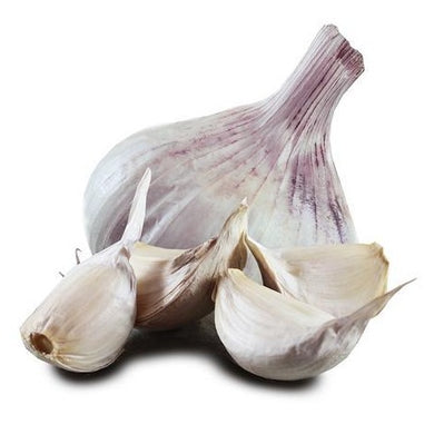 Large Iberian Wight Garlic Bulb