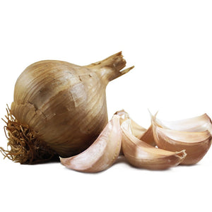 Large Smoked Garlic Bulb
